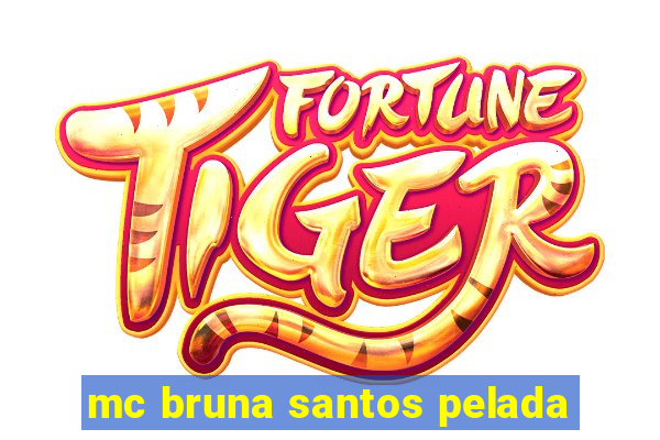 mc bruna santos pelada